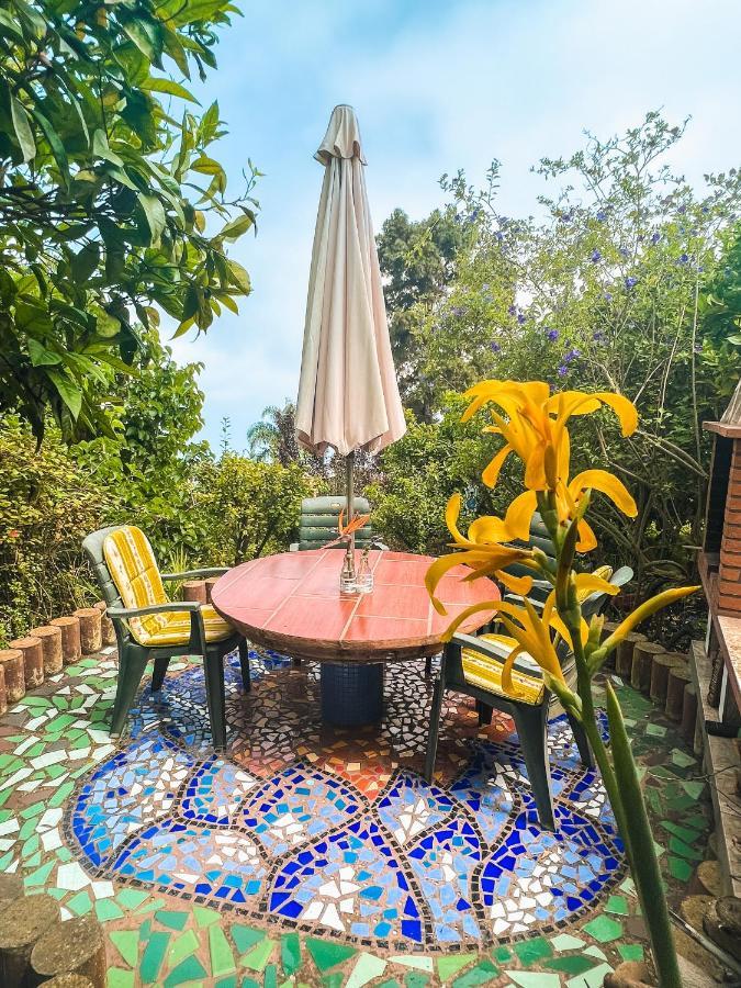Canarian Cottage With Terrace Surrounded By Garden - Alisios La Orotava Exterior foto