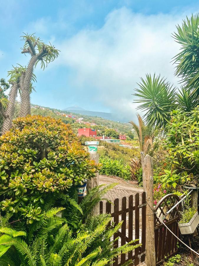 Canarian Cottage With Terrace Surrounded By Garden - Alisios La Orotava Exterior foto