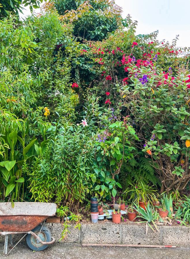 Canarian Cottage With Terrace Surrounded By Garden - Alisios La Orotava Exterior foto