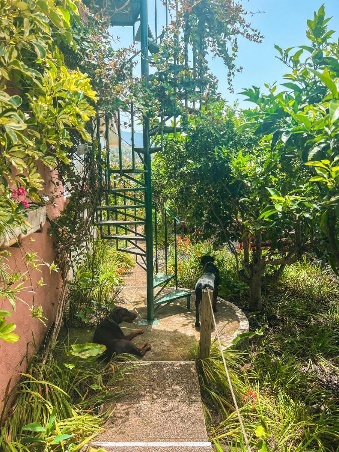 Canarian Cottage With Terrace Surrounded By Garden - Alisios La Orotava Exterior foto