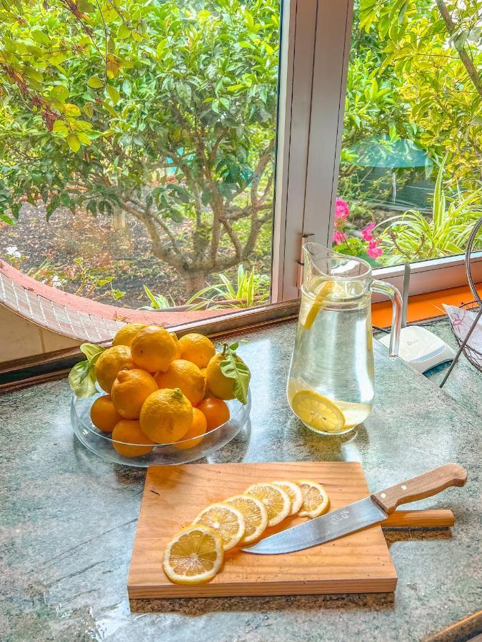 Canarian Cottage With Terrace Surrounded By Garden - Alisios La Orotava Exterior foto